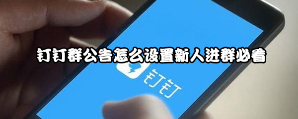 钉钉群公告怎么设置新人进群必看