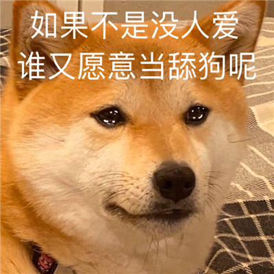 抖音沙雕表情包合集