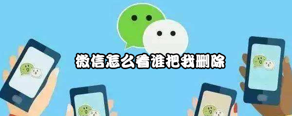 微信怎么看谁把我删除