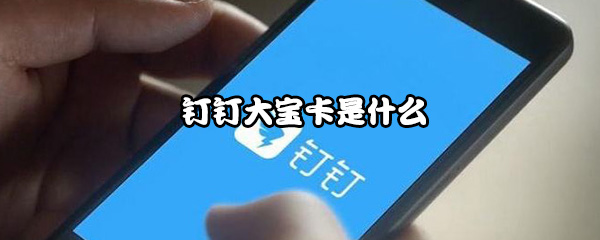 钉钉大宝卡是什么