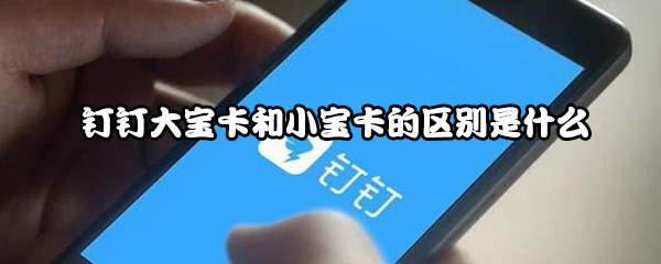 钉钉大宝卡和小宝卡的区别是什么