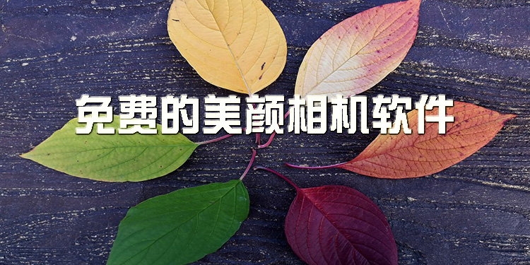 免费的美颜相机软件大全