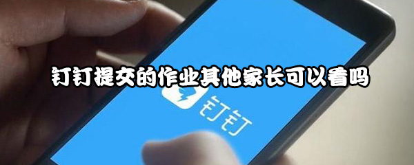 钉钉提交的作业其他家长可以看吗