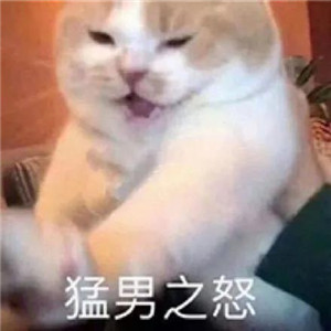抖音猛男之怒表情包