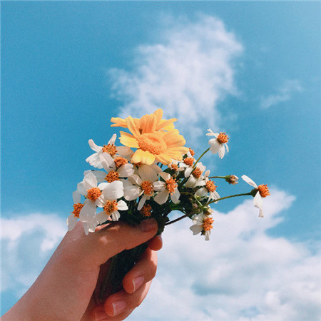 抖音蓝天唯美风景图片