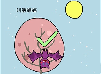 这题太难了第13关怎么过 如何叫醒蝙蝠