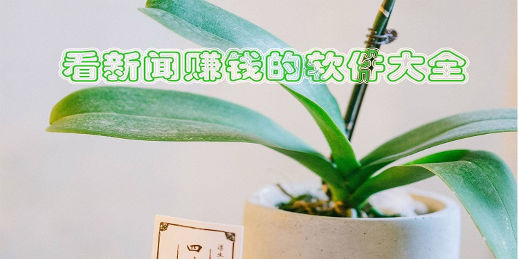 看新闻赚钱的软件大全