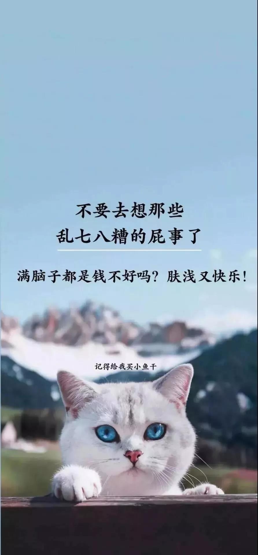 抖音不要去想那些乱七八糟的屁事了高清壁纸