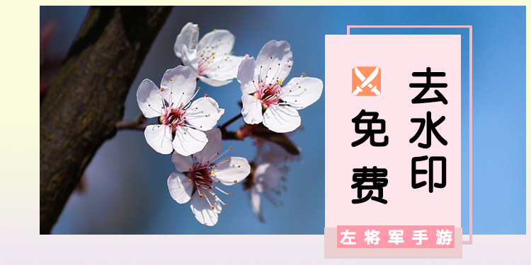 视频去水印软件免费大全