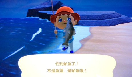 抖音不是鱼露是鲈鱼哦表情包