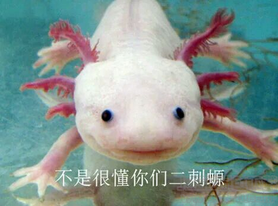 此曲一出爹妈白养什么梗