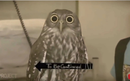 开始吟唱是什么梗