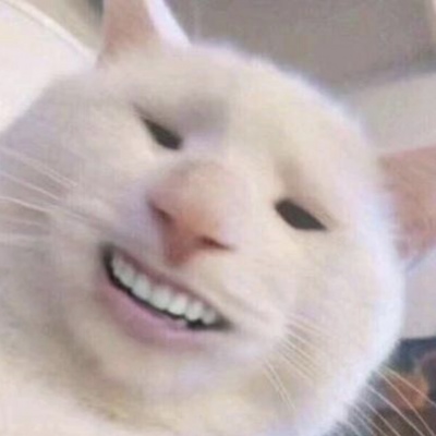 最火沙雕动物表情包