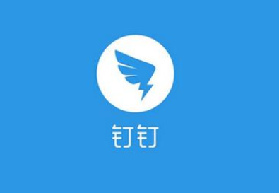 钉钉视频会议可以横屏吗