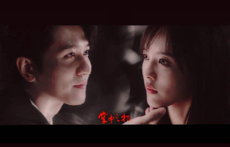 哪个软件可以看掌中之物小说