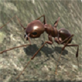 蚂蚁世界模拟器中文版