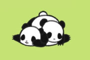 熊猫永不为奴第27关攻略