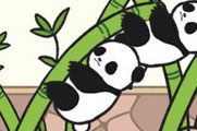 熊猫永不为奴第28关攻略
