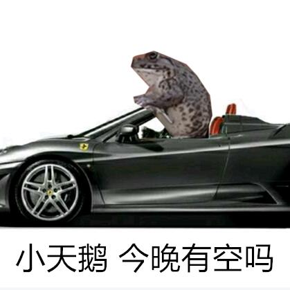 抖音小天鹅今晚有空吗表情包