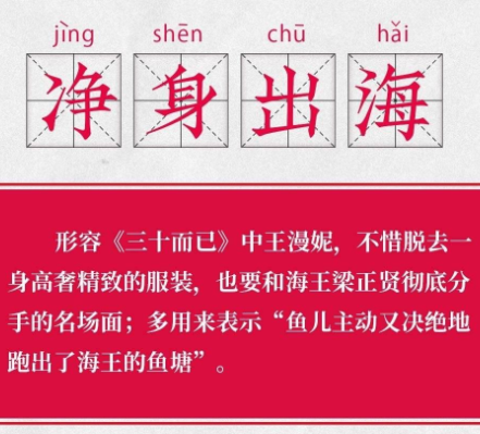 抖音净身出海是什么梗