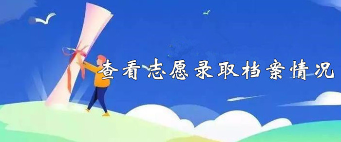 怎么查志愿填报的档案录取情况