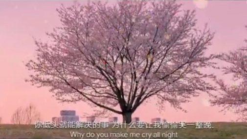 抖音你低头就能解决的事图片