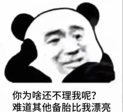 抖音你为啥还不理我呢表情包