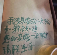 抖音我想变成一只狗图片