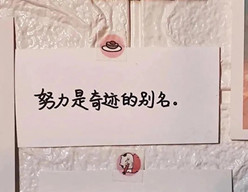抖音努力是奇迹的别名高清壁纸