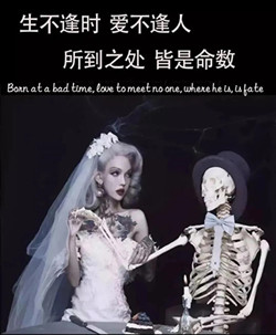 抖音生不逢时爱不逢人图片