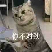 抖音你不对劲猫表情包