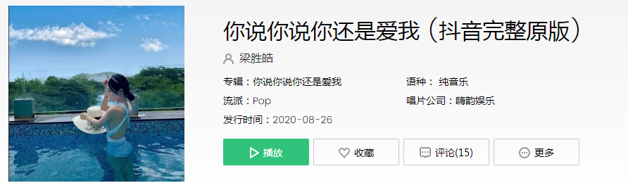 抖音你说你说你还是爱我是什么歌