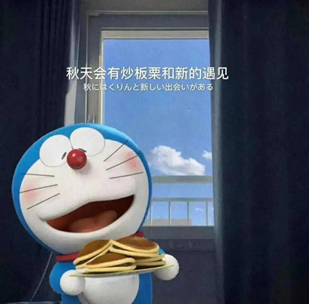 抖音秋天会有炒板栗和新的遇见图片