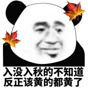 抖音入没入秋的不知道反正该黄的都黄了表情包
