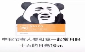 十五的月亮16元微信对话图片