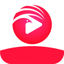 类似小鸟影院的软件有哪些