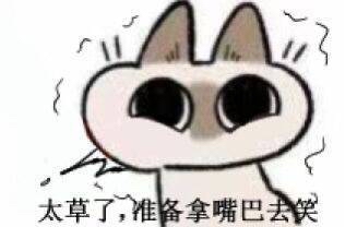 抖音太坏了猫表情包