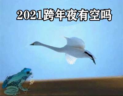 2021跨年夜有空吗天鹅表情包