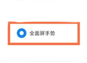 小米11全面屏设置在哪里