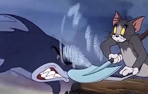 微信状态猫和老鼠视频在哪下载