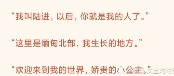 抖音这里是缅甸北部是什么梗