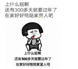 抖音上什么班啊还有300多天就过年了表情包