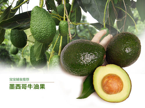 抖音墨西哥牛油果是什么梗