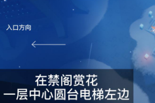 光遇怎么在禁阁赏花