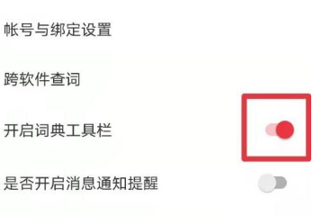 有道词典如何开启词典工具栏