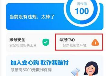 闲鱼怎么进行举报