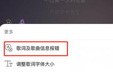 网易云音乐怎么修改歌词