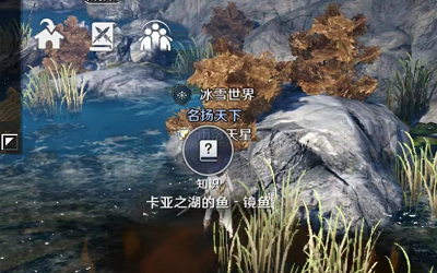 黑色沙漠手游卡亚之湖的鱼镜鱼攻略