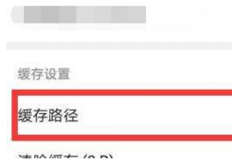 华为视频播放器缓存文件夹在哪