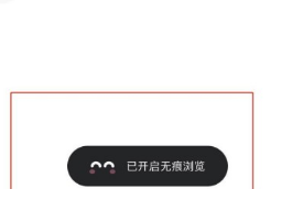 夸克浏览器如何开启无痕模式